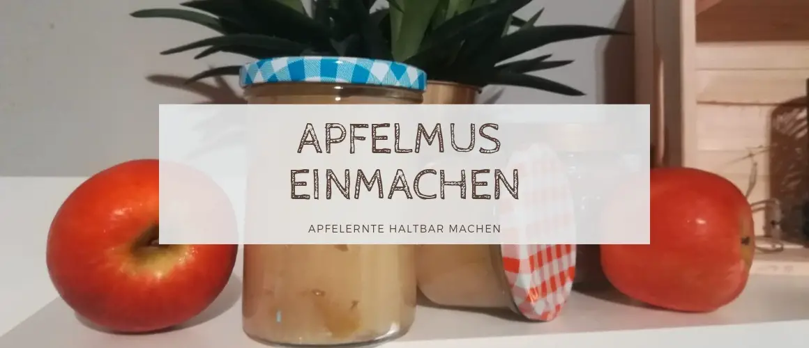 Apfelmus einmachen: So könnt Ihr Apfelmus ganz einfach einmachen