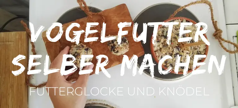 Vogelfutter selbst machen: Rezept für eine Futterglocke und Knödel