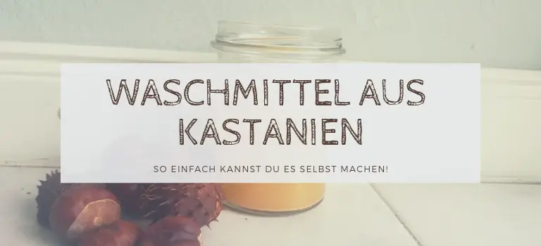 Waschmittel aus Kastanien: So einfach kannst Du dein eigenes Waschmittel aus Kastanien herstellen