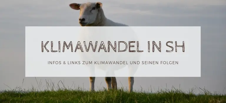 Klimawandel Schleswig-Holstein: Infos und Quellen zu Klimawandel Folgen im Norden
