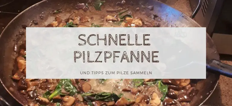 Schnelle Pilzpfanne und Tipps zum Pilze sammeln: Leckeres Rezept mit selbst gesammelten Pilzen und Spinat