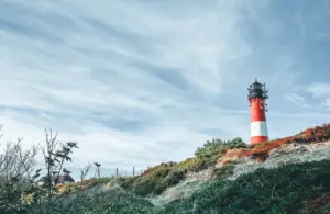Naturschutzgebiete Schleswig-Holstein_ Infos rund um Schutzgebiete in SH: Natur- und Nationalpark, Natur-, Landschafts- und Vogelschutzgebiete, Biosphären- und Naturwaldreservat, NATURA 2000, Naturerlebnisraum, Schleswig-Holstein