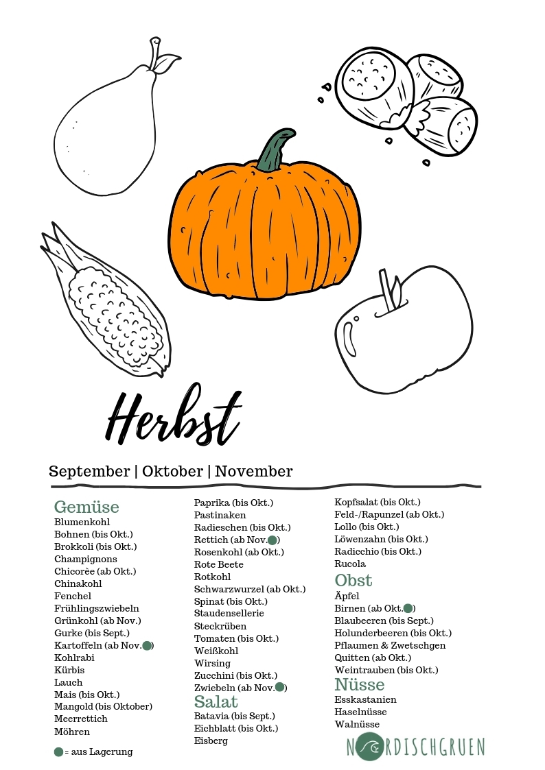 Hat das gerade Saison? Saisonkalender Obst und Gemüse (PDF): Kostenlosen Saisonkalender einfach herunterladen und ausdrucken!