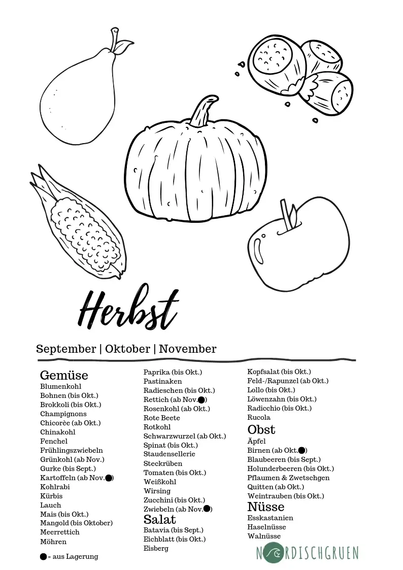 Hat das gerade Saison? Saisonkalender Obst und Gemüse (PDF): Kostenlosen Saisonkalender einfach herunterladen und ausdrucken!