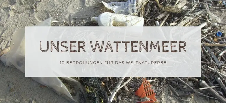 Wattenmeer: Klimawandel und Verschmutzung: 10 Bedrohungen für das Weltnaturerbe Nationalpark Wattenmeer