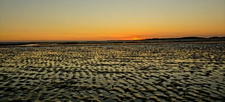 Unser Wattenmeer: Infos zur Entstehung, zum Ökosystem und zum Weltnaturerbe