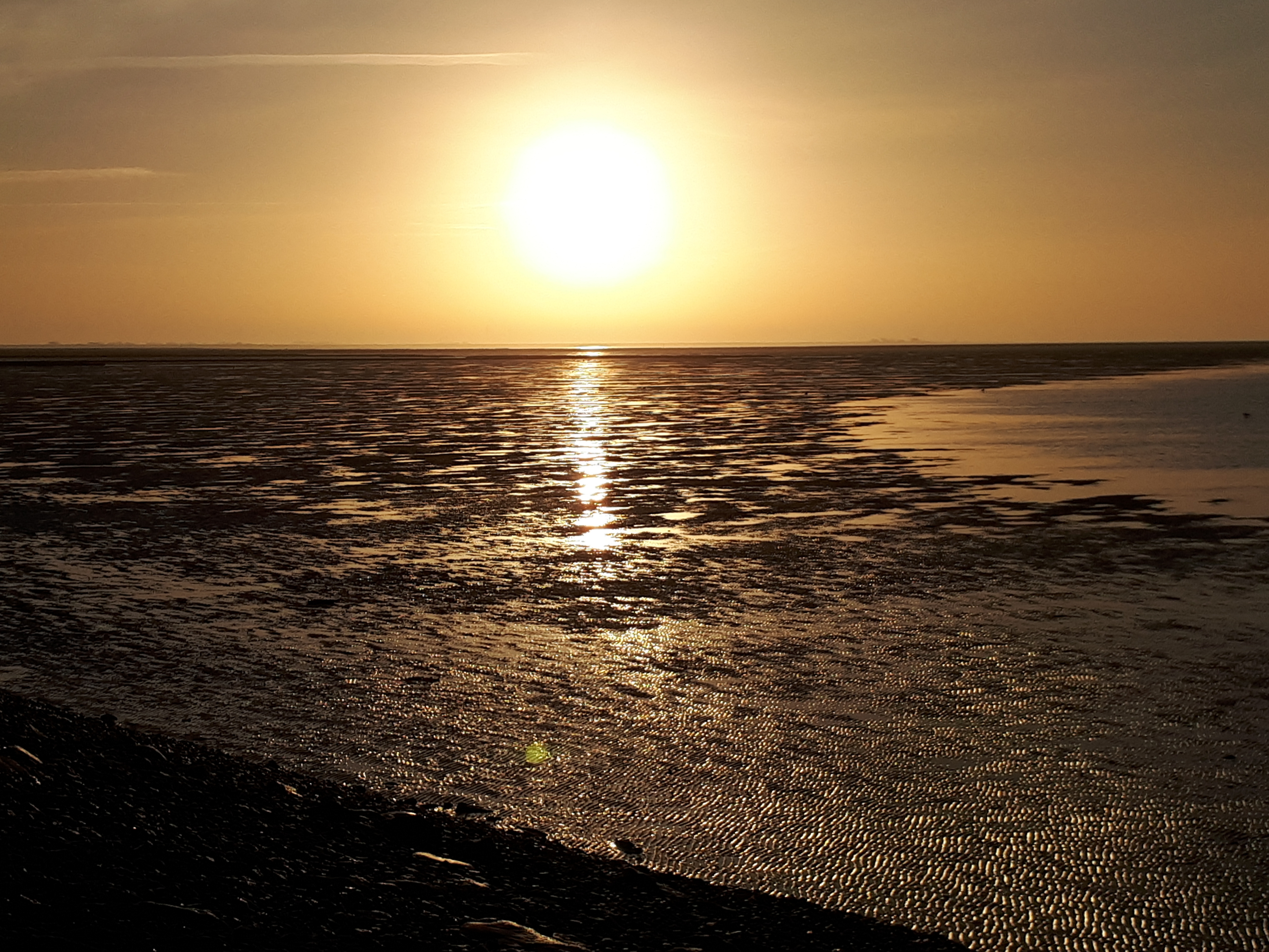 Norden Meer Kostenlose Hintergrundbilder Natur Nordischgruen