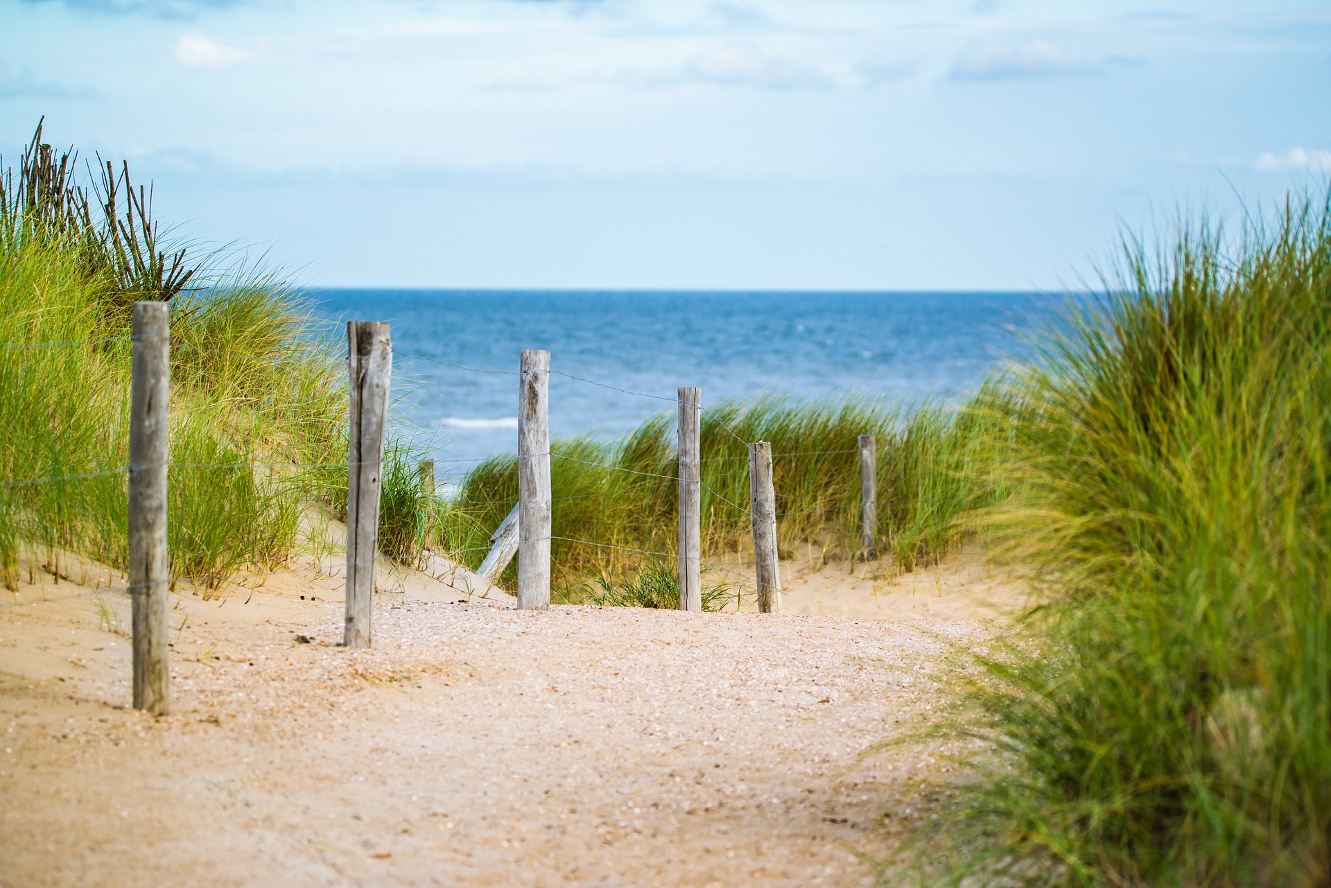 Norden & Meer – Kostenlose Hintergrundbilder Natur - nordischgruen