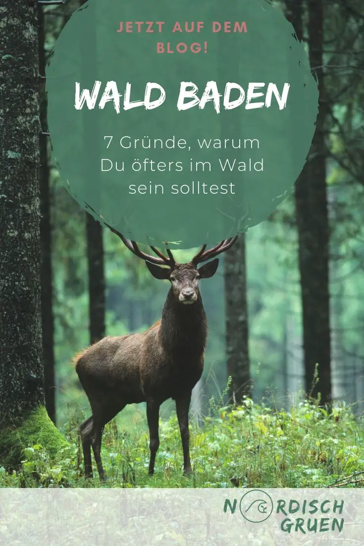 Wald baden: 7 Gründe, warum du öfters im Wald sein solltest