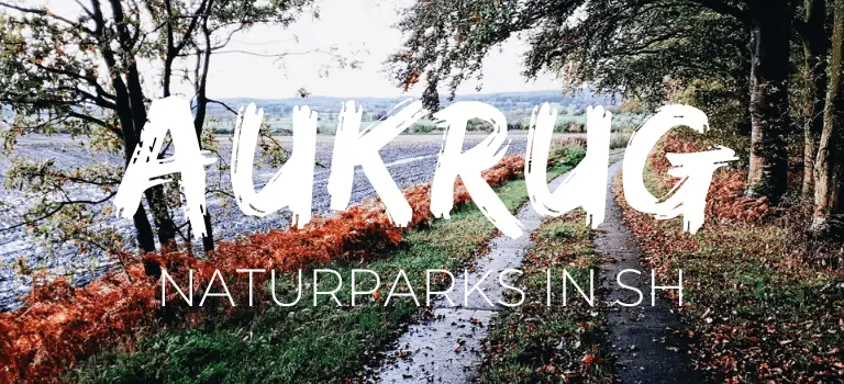 Naturpark Aukrug: Naturparks Schleswig-Holstein: nordischgruen