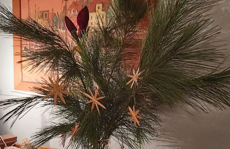 Sterne basteln_Weihnachtliche Anleitung_Stern aus Brottüten_ Stern aus Stroh_Materialien_Strohstern_Faden_knoten_fertiger Stern