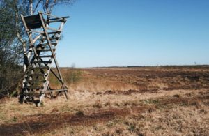 nordischgruen_Ausflüge Schleswig-Holstein: Eider-Treene-Sorge-Niederung_ Auf ins Moor_Moor in Schleswig-Holstein