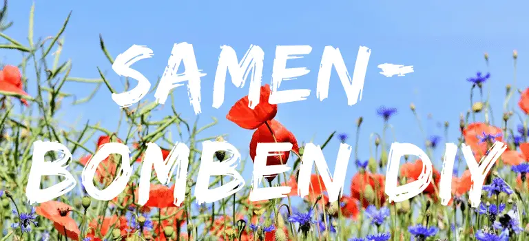 Einheimisch und bienenfreundlich: Samenbomben selber machen_Blumen
