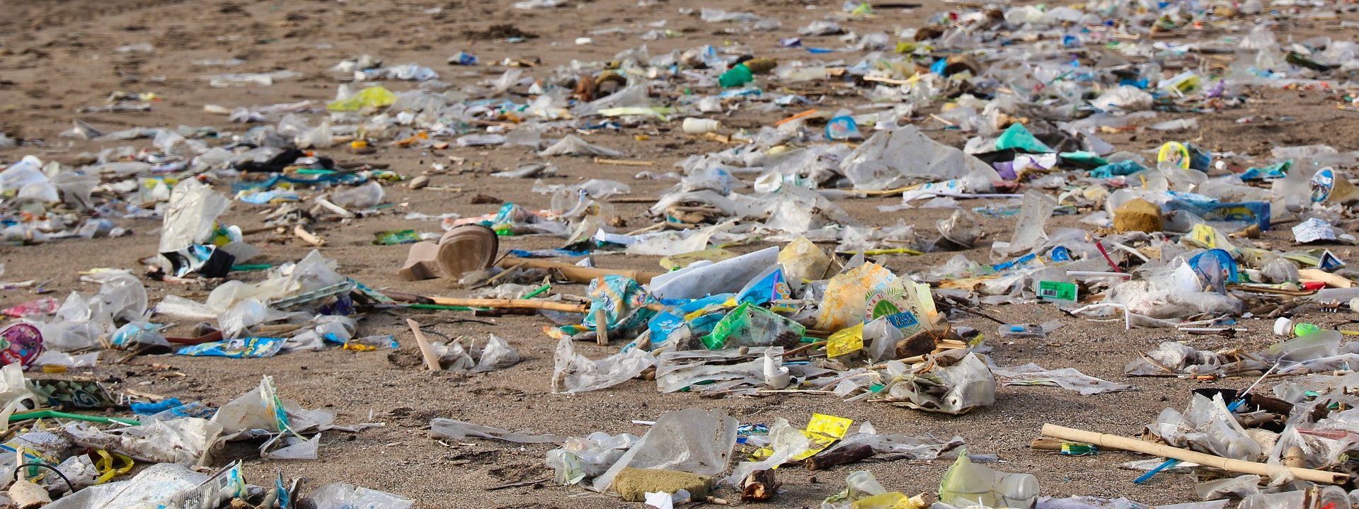 Müll am Strand_Zero Waste Itzehoe e.V.