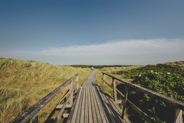 Holzsteg durch eine Dünenlandschaft auf Sylt