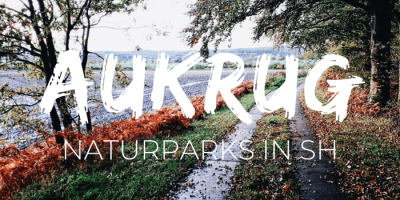 Naturpark Aukrug: Naturparks Schleswig-Holstein: nordischgruen