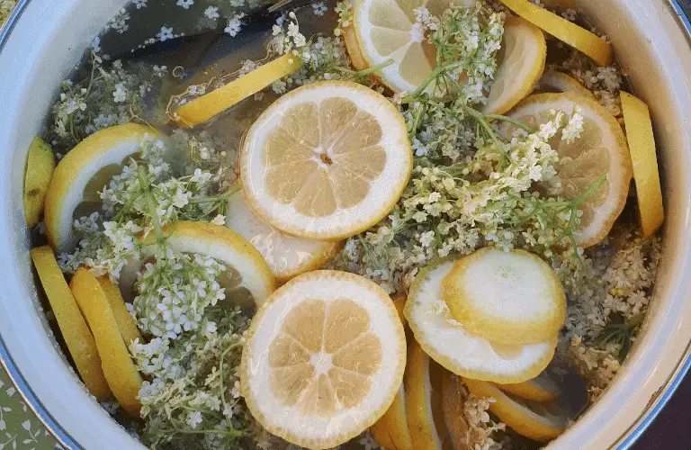 Holunderblütensirup herstellen: Schnell und einfach selber machen: fertiges Holunderblütensirup