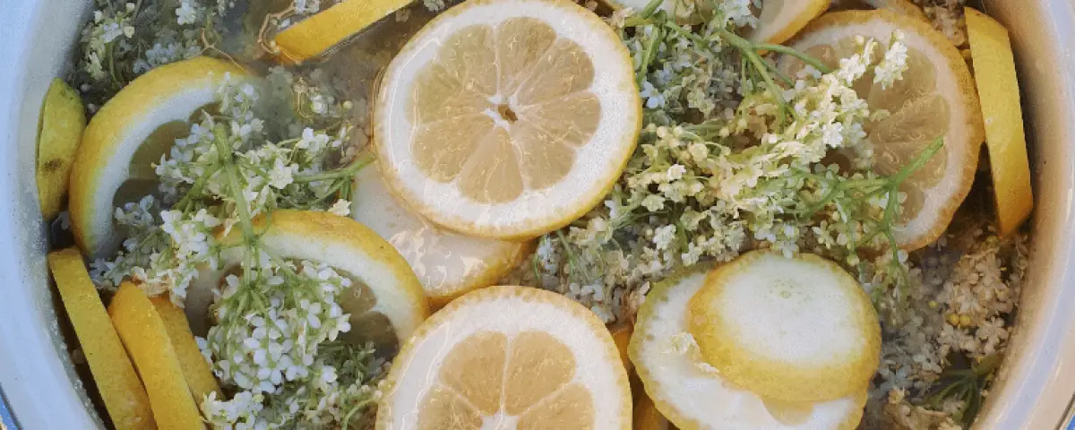 Holunderblütensirup herstellen: Schnell und einfach selber machen: fertiges Holunderblütensirup