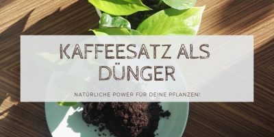 Kaffeesatz als Dünger_banner natürlicher Pflanzendünger? Kaffeesatz als Dünger für deine Pflanzen!