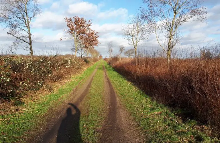 Knickschutz SH_Knicks SH