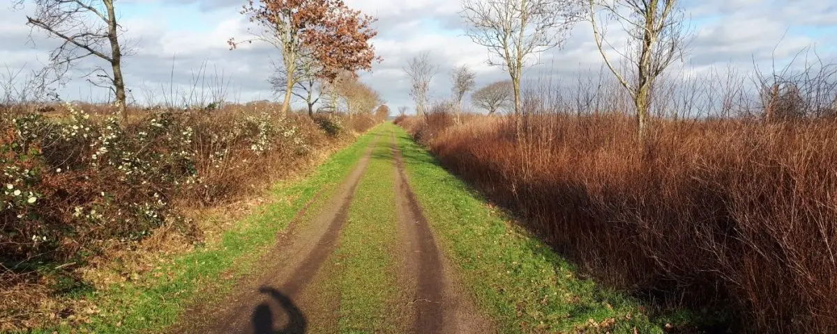 Knickschutz SH_Knicks SH