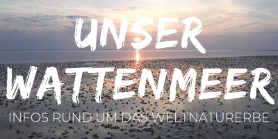 Unser Wattenmeer: Infos zur Entstehung, zum Ökosystem und zum Weltnaturerbe