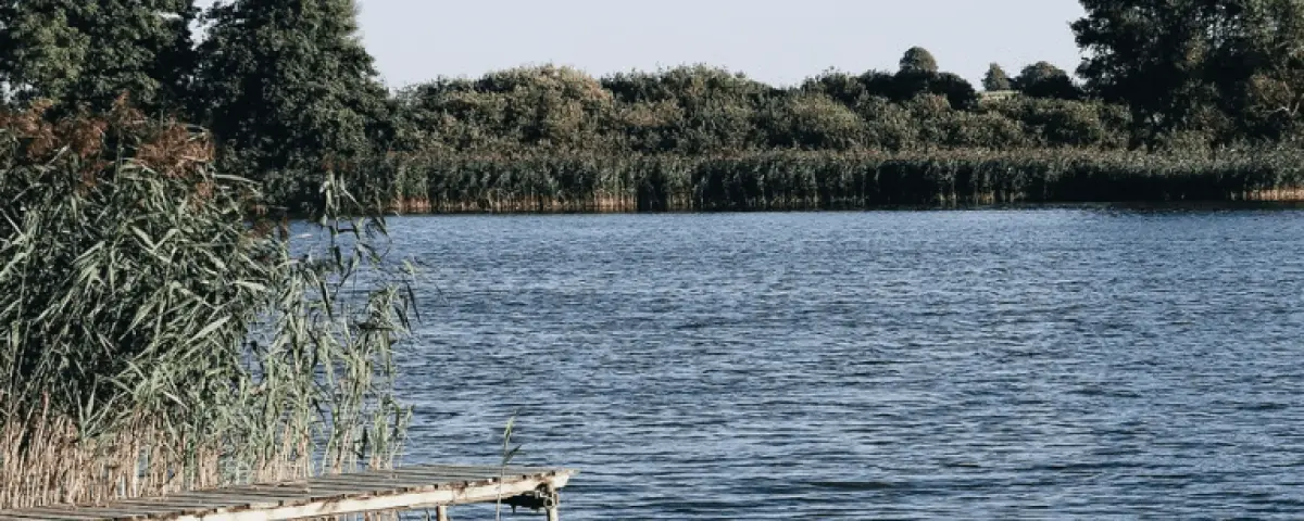 Naturparks Schleswig-Holstein: Ein Roadtrip durch Schleswig-Holstein: Schlei, Westensee, Lauenburgische Seen, Aukrug, Hüttener Berge und Holsteinische Schweiz