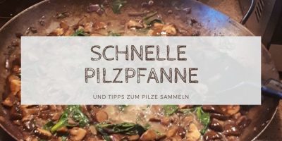Schnelle Pilzpfanne und Tipps zum Pilze sammeln: Leckeres Rezept mit selbst gesammelten Pilzen und Spinat